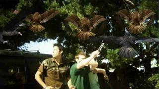 Stillbild ur trailern till BIRDEMIC: SHOCK AND TERROR