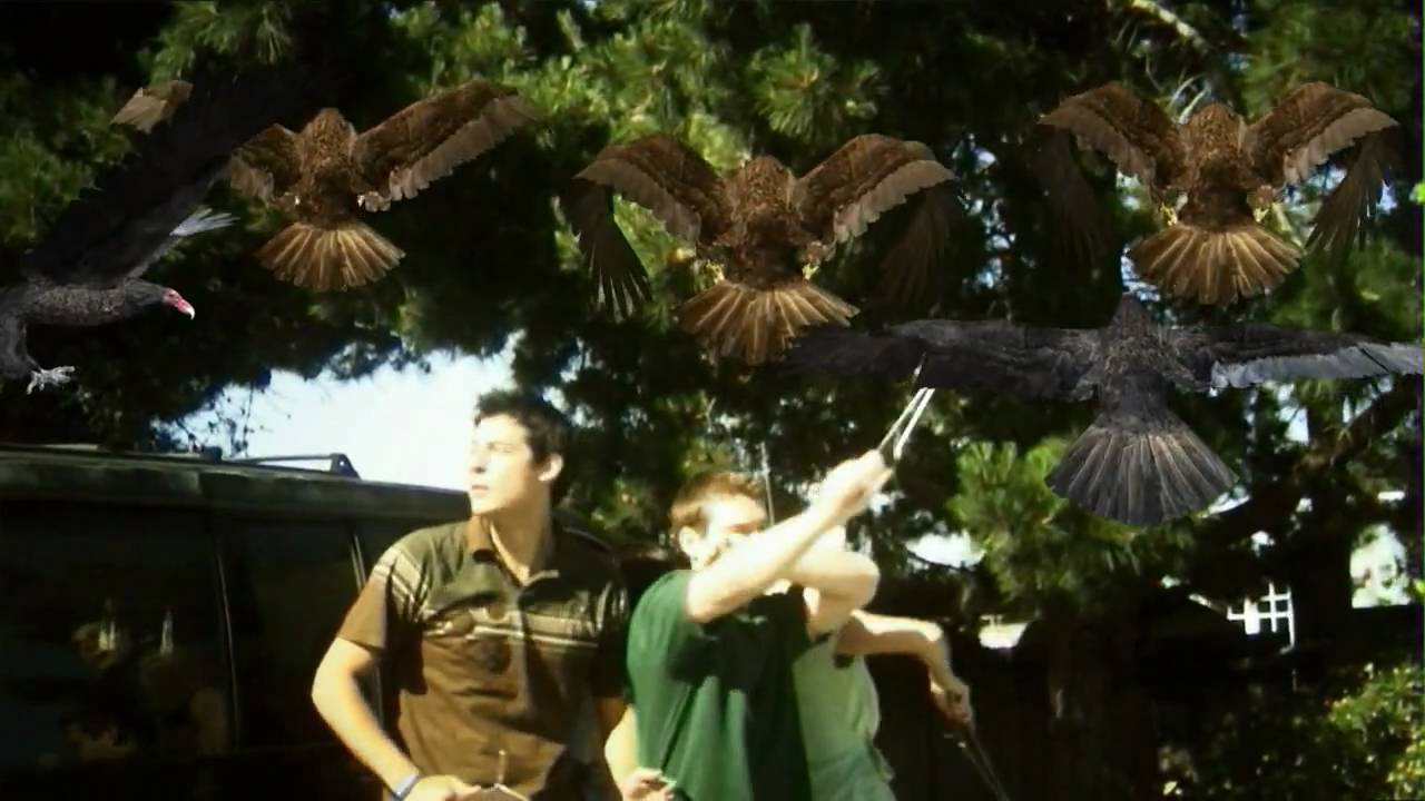Stillbild ur trailern till BIRDEMIC: SHOCK AND TERROR