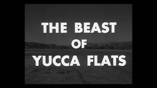 Stillbild ur trailern till The Beast Of Yucca Flats