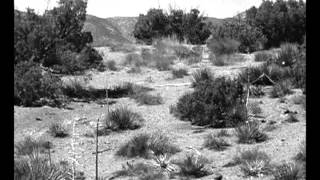 Stillbild ur trailern till The Beast Of Yucca Flats